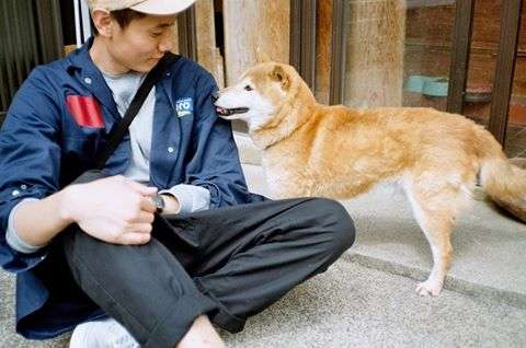 Norman Normalの写真